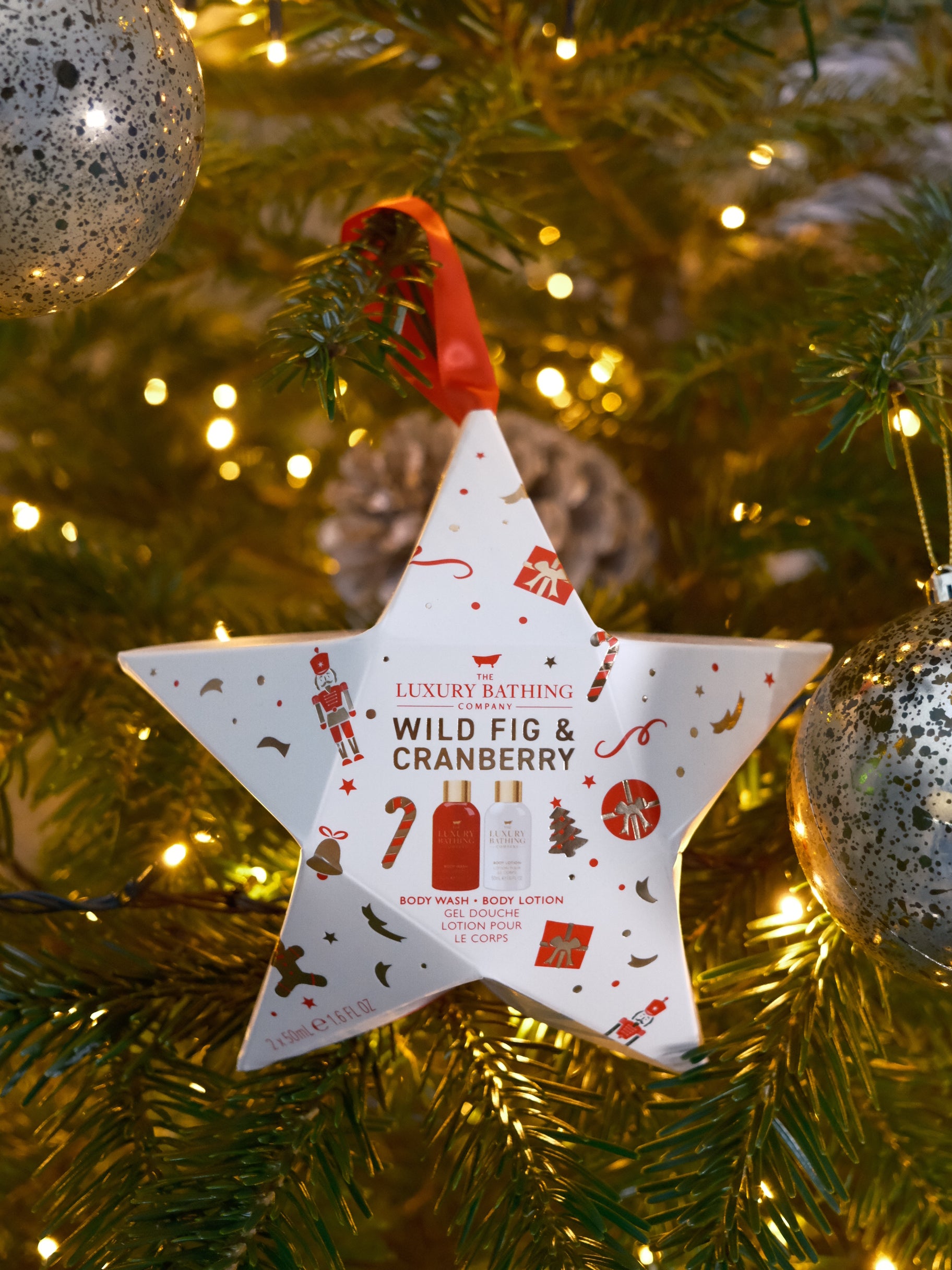 Pflege-Duo Wilde Feige & Heidelbeere