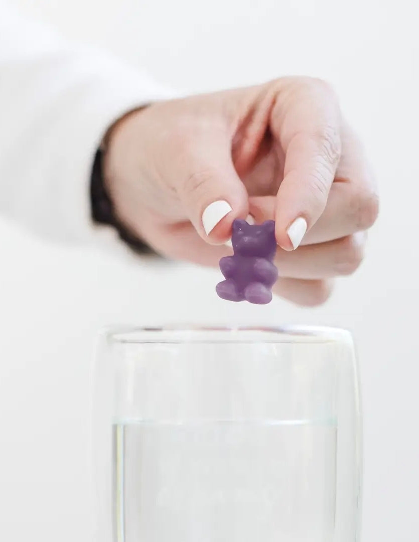 Slow Morning Valentine’s Edition