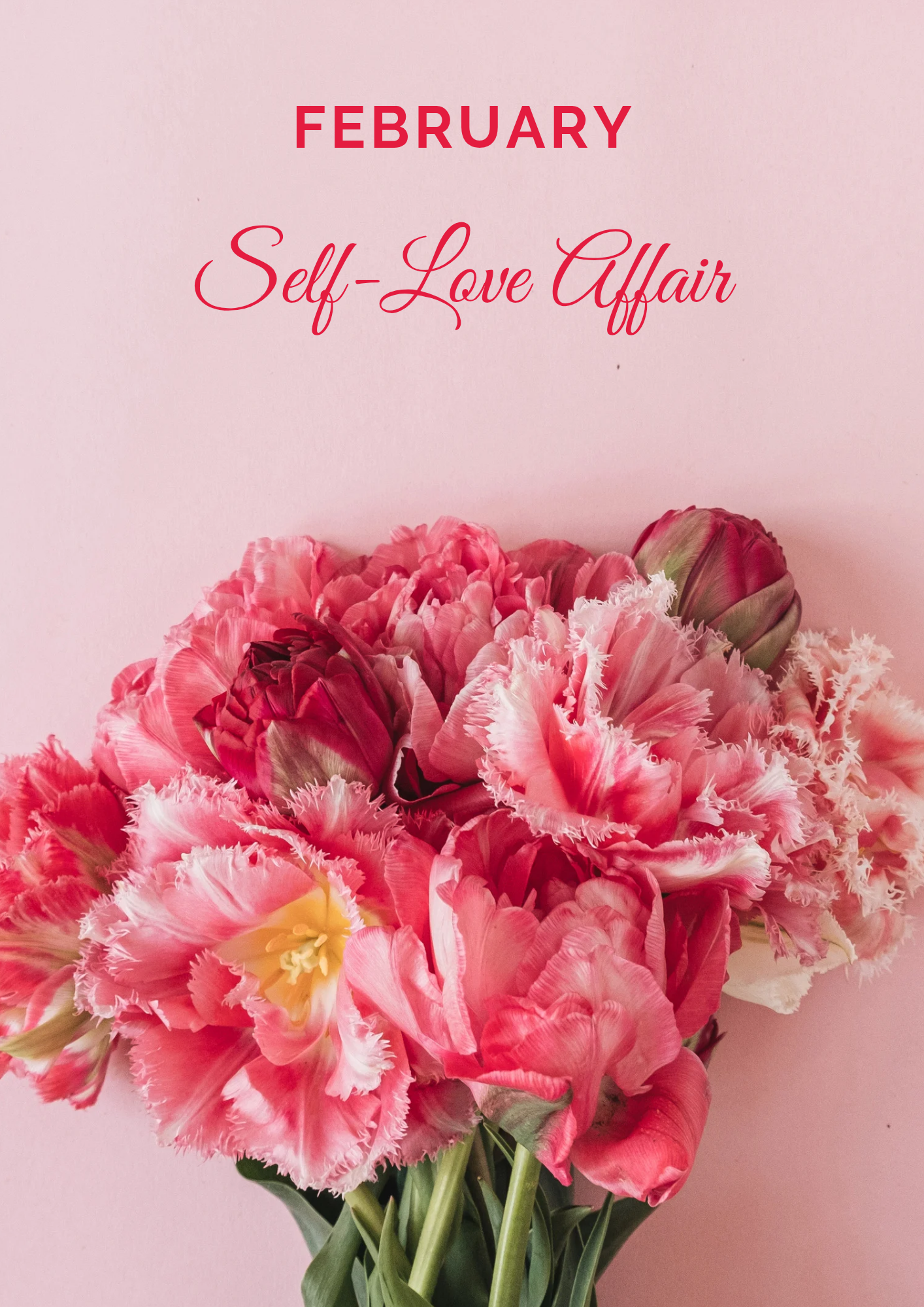 Einmalkauf Februar-Box